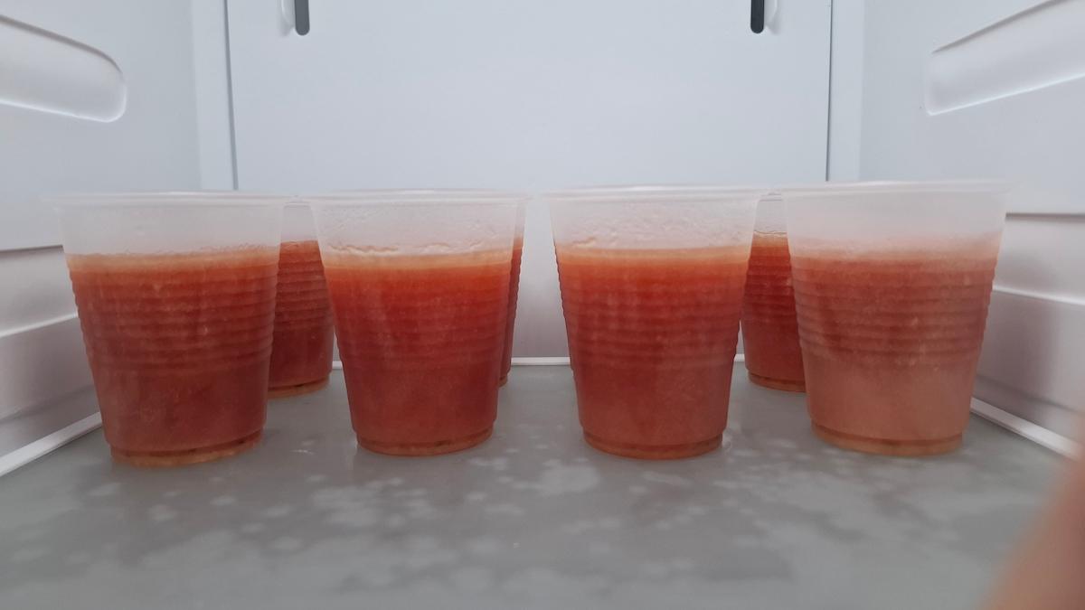 Fruitijs maken