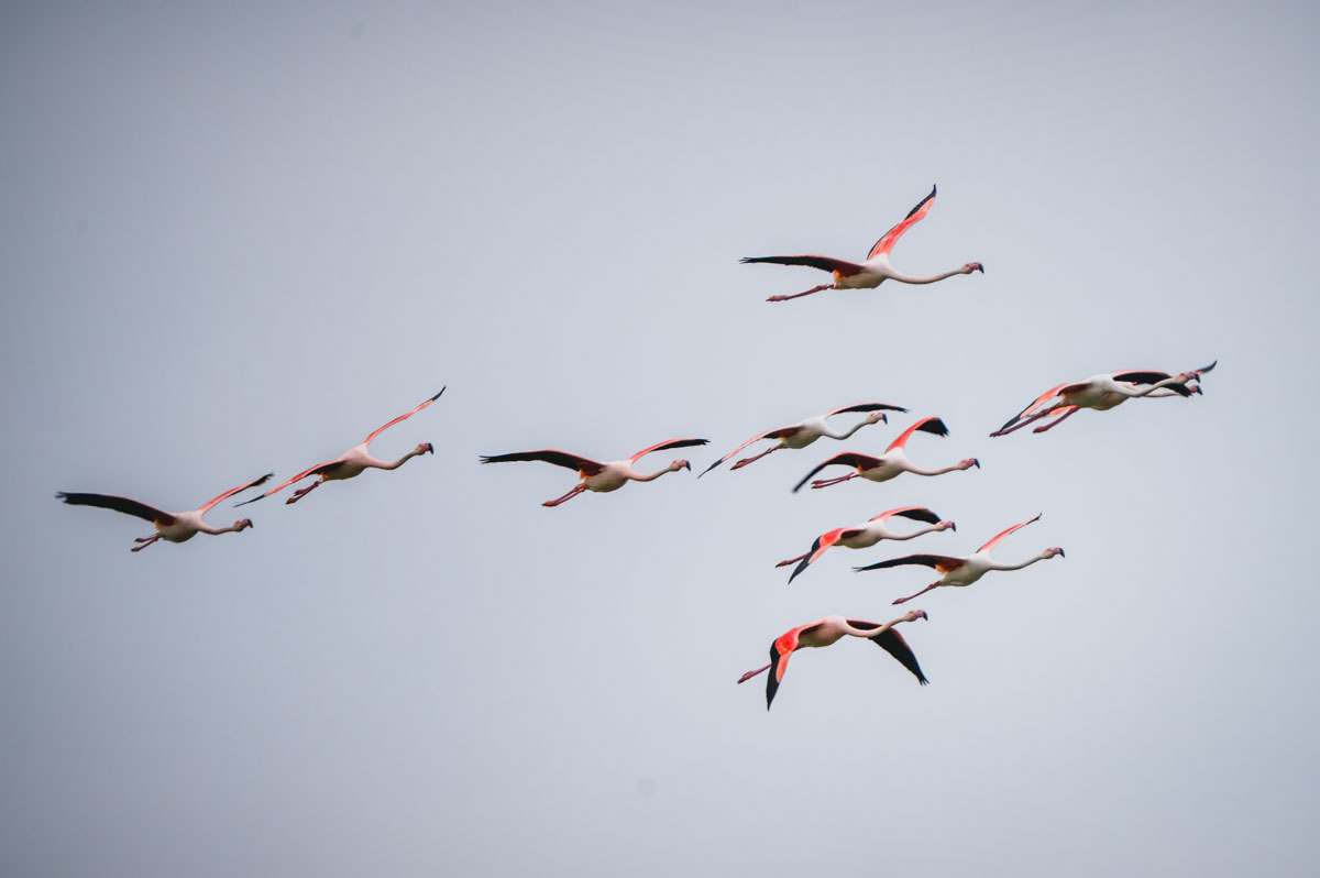 ByFoekema 260422 DSC2232