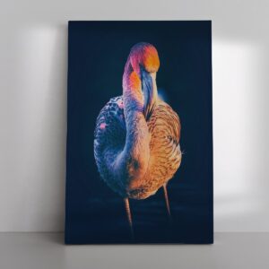 Flamingo in zonsondergang
